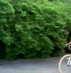 adhd-in-orange:   B1A4 and bicycles David still wins all the awards   I forgot Ellegance