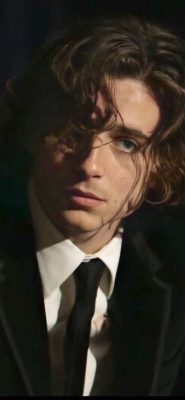 peachymetimmy:Timothée Chalamet 