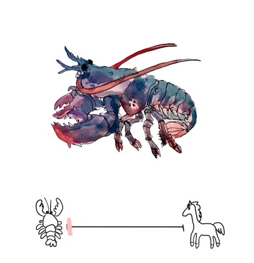 palossssssand: Something for a project! Lobster&gt;&gt;&gt;horse
