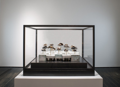boyhood:Dario RobletoFossilhood is Not Our Forever2014Fossilized prehistoric whale ear bones salvage