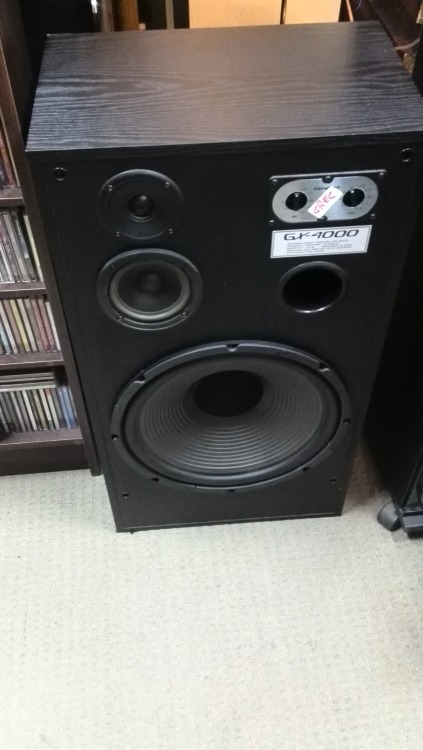blueeyeguy70:  Genexa GX-4000 by Realistic. 15” 3 way beast. 