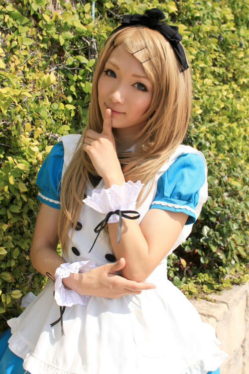 cosplaygirl: *今月のライブ告知｜ゆきまちのやかましい世界´_ゝ｀