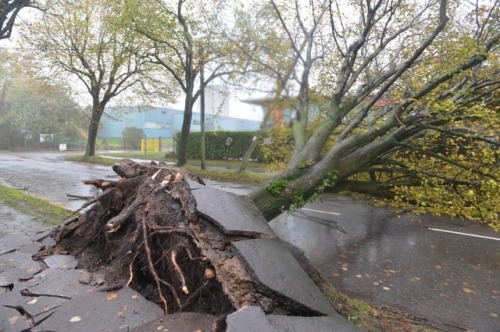 The aftermath of ex-Hurricane Ophelia