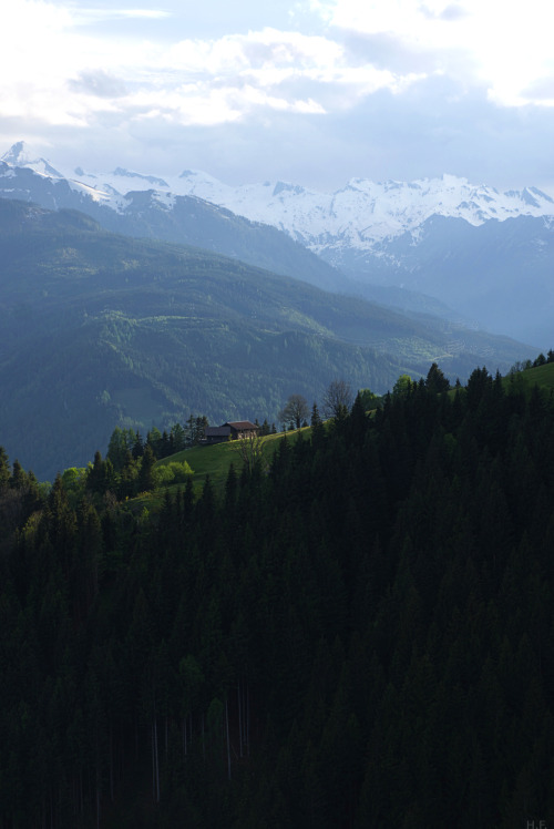 Morning In The Mountains, Zell Am See, Austria.