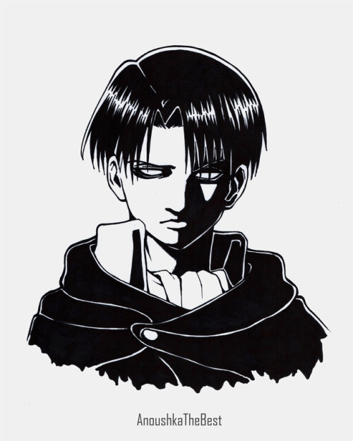 Levi and Hanji - Attack on Titan