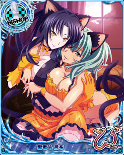 (via kuroka and ryofu housen (high school dxd, high school dxd new, ikkitousen, and ikkitousen great guardians)) 