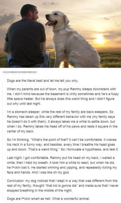 srsfunny:  Dogs Take Care Of Ushttp://srsfunny.tumblr.com/