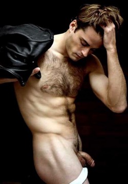 Hairy Chested Blonds 3