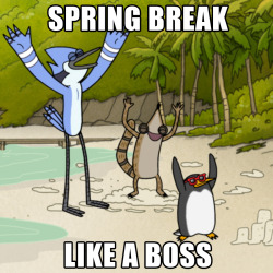 No matter where you Spring Break, do it like