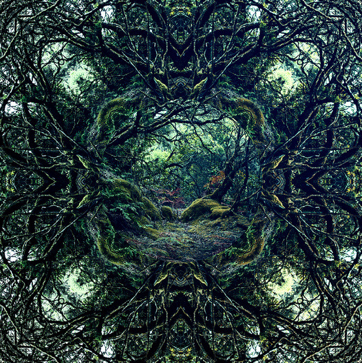 littlelimpstiff14u2:  Witness An Artist Challenge Himself With 365 Day Creative Oath