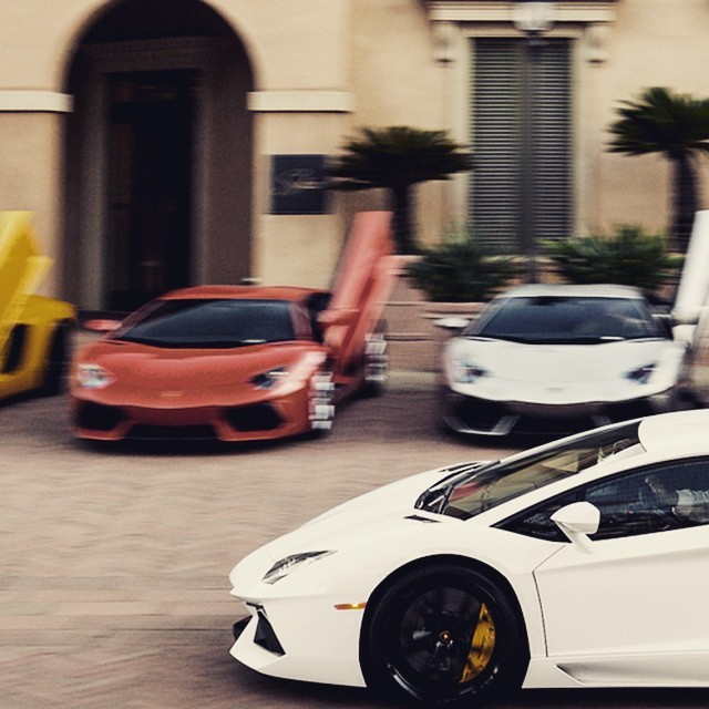 Lined up aventadors of all colours how perfect #like if you wish to own this fleet