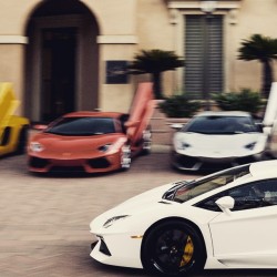 Lined up aventadors of all colours how perfect #like if you wish