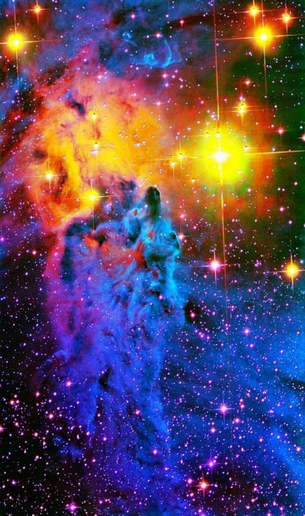 n-a-s-a:  Fox Fur Nebula, different angle porn pictures