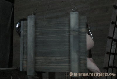 slavethompson:  Good slave 