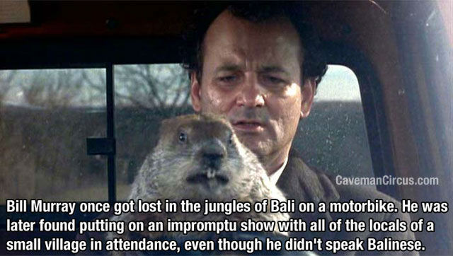 If you don&rsquo;t love Bill Murray, you&rsquo;re dead to me.