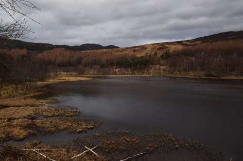 Loch Ordie WalkJust like last year, I decided to spend my birthday hiking up to Loch Ordie. It took 