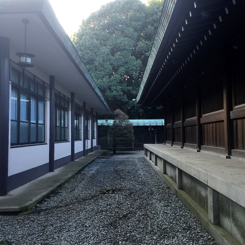 一点透視＠明治神宮One point perspective @ Meiji Jingu, Japan