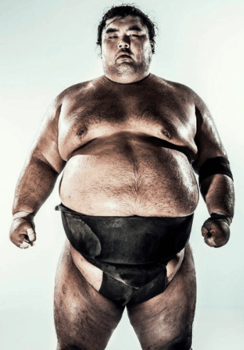 findchubbybear