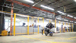 sniffheinkel: jasoncanty01:  copperbadge:  digg: boston dynamics’ has a new robot and it FUCKIN SHREDS!!! It was all over the day we taught the robots parkour.   Mankind is SOOOOOO Dead! :D Add guns and rocket launcher to that bad boy!  Skynet is so