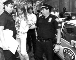 Sunrise9Memories:  Axl Rose Getting Arrested, 1992