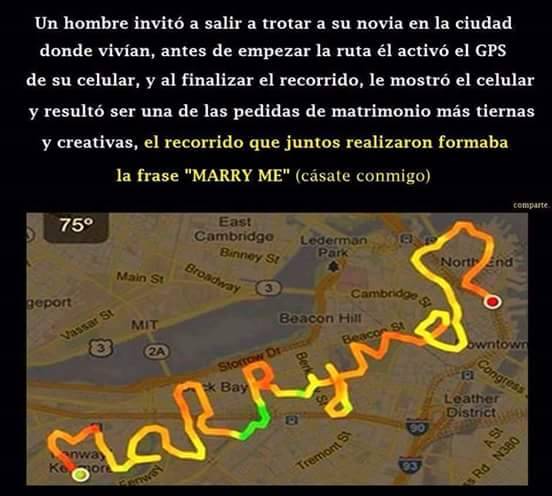 Del amor, yo solo me limito a leerlo. ۞