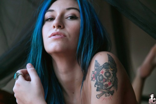 tafkafi:  Moon Suicide - Quickly becoming a favorite of mine.