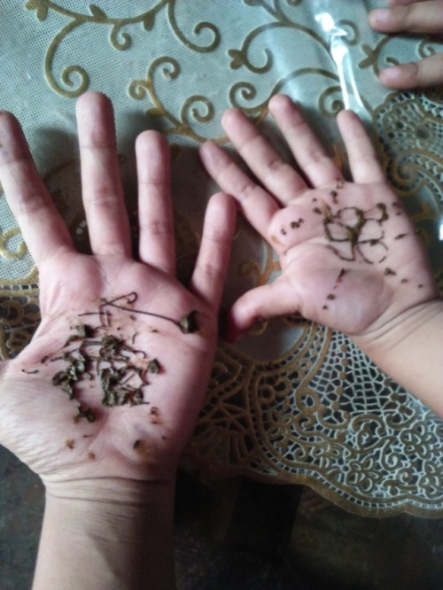 rimshalove: Henna tattoo on my and Seesh’ palms