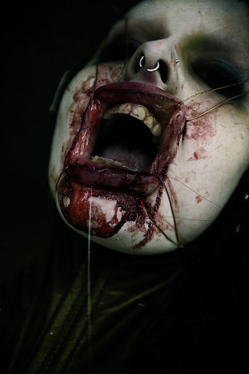 darkkaart:  Kimberley Camilleri