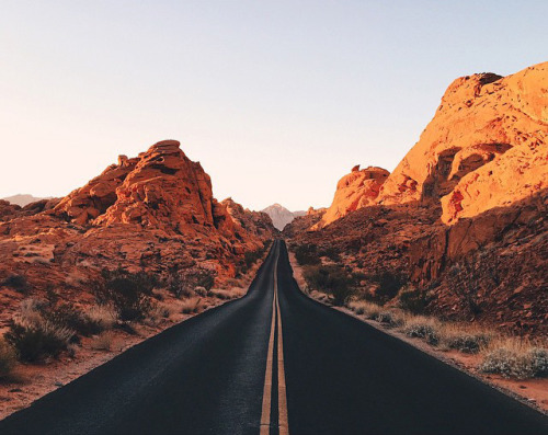 nevver:  Where I am may be lost, Jared Chambers 