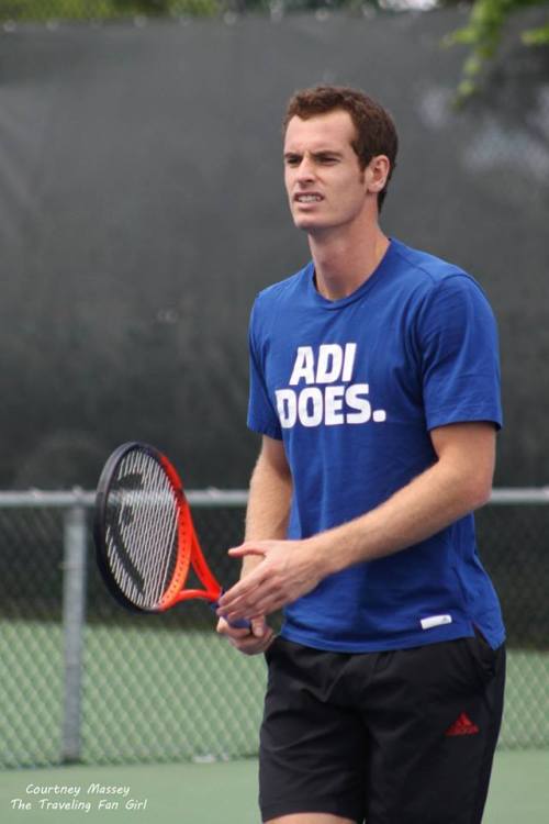 Andy Murray. Montreal 2013. [more]