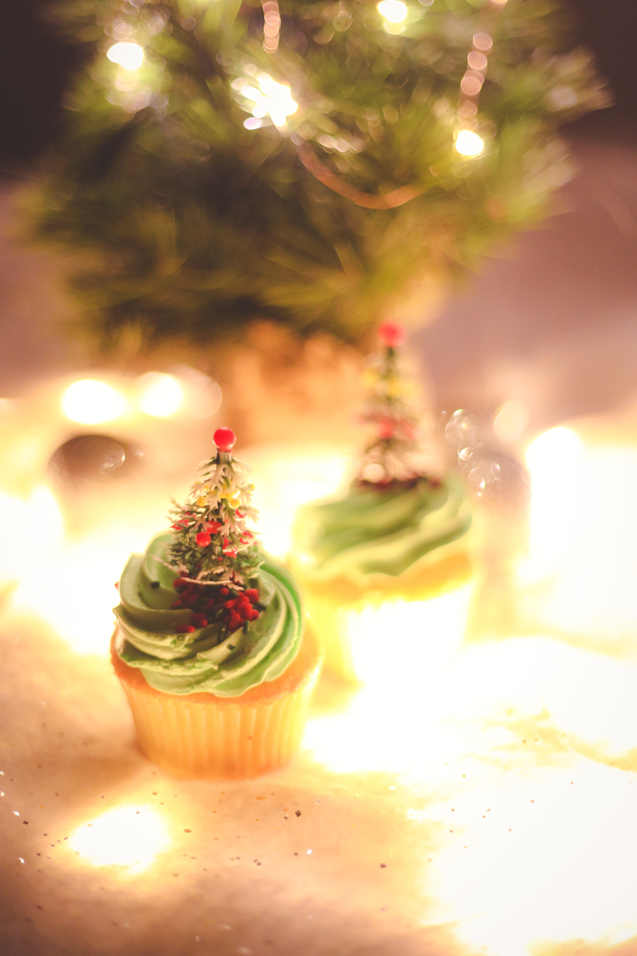 ohgoodgracious:  O Christmas Tree 