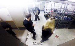   Chris Pratt Dinosaur Prank