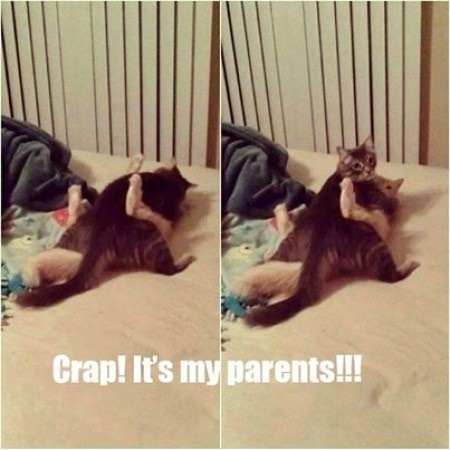 In flagrante delicto