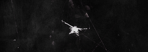 thehorrorboutique:   American Horror Story: Coven | You Are Summoned  