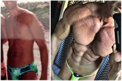 muscleroidaddict:  Bodybuilding is a series