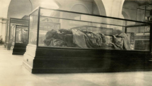 The Mummy of Ramesses IIThe mummy of Ramesses II was among those found in the royal cache (DB320) at