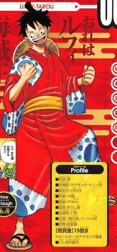 The Future Pirate King Monkey D Luffy Is Th Tumbex