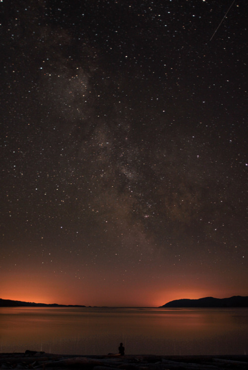 wonderous-world:  Vancouver, Canada by Elizabeth Gadd | Follow on Tumblr 