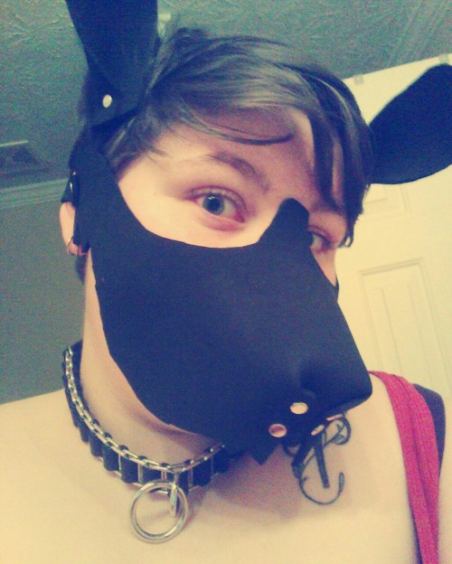 ace-puppy:  @daveywoofr, @fawn–prince, @goodboychance, @nnydlboi, @p0cket-pup, @pup-grizz, @pupsirius, @ruttpup, @tuggerpup, @twitchthepup Hooded Pups of Tumblr #21 