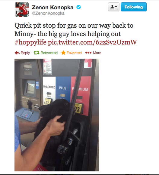 ablogwithoutpants:  Stop. Listen to me. This is a professional hockey player named