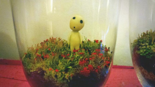 One of my hobbies. I really enjoy making terrariums and decorating them. I made the kodama by mixing