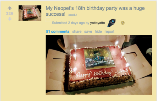 littlebittyshoyru: In case anyone was wondering how that guy’s Neopet’s birthday went&he
