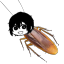 hamishcat437