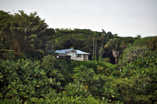 minthappiness: secluded house on the cliffside, Hilo.