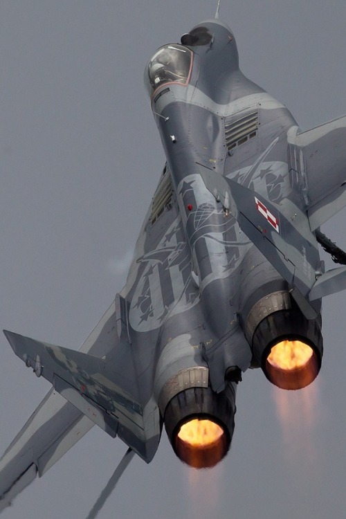 reluctantpaladin:  Polish Mig 29 “Going porn pictures