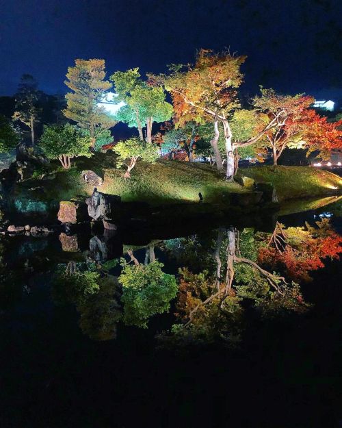 玄宮園“錦秋の玄宮園ライトアップ” [ 滋賀県彦根市 ] Genkyuen Garden(Lightup), Hikone, Shiga の写真・記事を更新しました。 ーー国宝・彦根城の天守閣の借景が