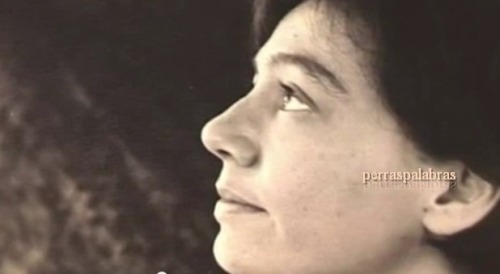 perraspalabras:    “Pero a ti quiero mirarte hasta que tu rostro se aleje de mi miedo como un pájaro del borde filoso de la noche.”Alejandra Pizarnik 
