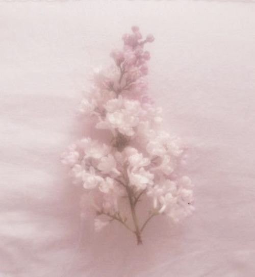 Pink Slippers All On The Floor 