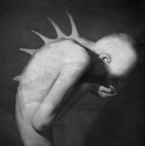 slobbering:  Giorgia Napoletano ~ “Metamorphosis of the Body”Also known as Blekotakra (Italian girl), Giorgia Napoletano is a young digital photographic artist from Italy. Born in Pescara in 1991, this hugely talented artist and student of Architectural