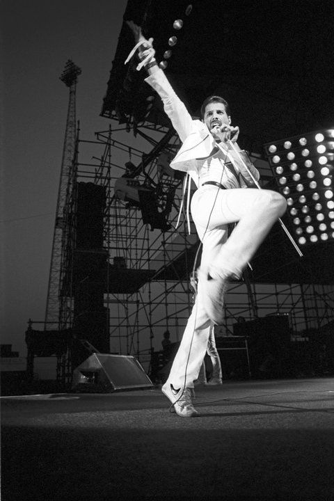 gayhistoryarchive:Singer, songwriter, rock star, cat lover, and fashion icon Freddie Mercury was bor